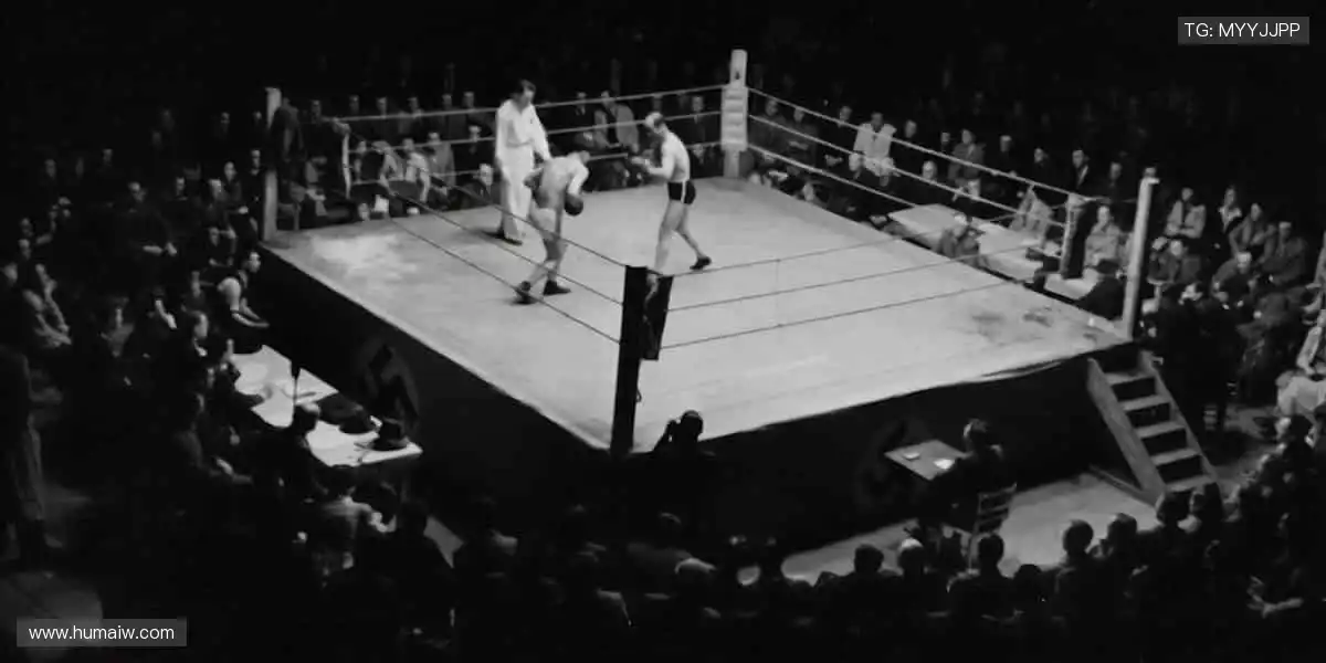 🌐📺 全球直播，同步狂欢！